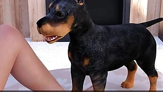 xnxx 17